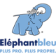 logo éléphant bleu, adhérent fff